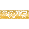 2025