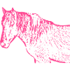 Horse pink pink