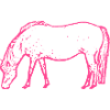 Cheval rose rose