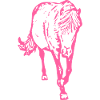 Cheval rose rose