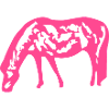 Cheval rose rose