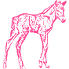 Cheval rose rose