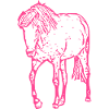 Cheval rose rose