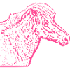 Cheval rose rose