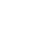 Slow Snail