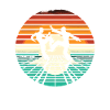 Capoeira