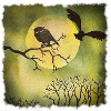 Oiseau de nuit
