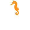 Heartbeat Seahorse Sea Passion