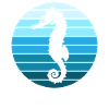 Cool Blue Seahorse Style