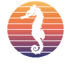 Seahorse Sunset Lover