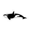 Einfach Orca-Liebhaber Statement