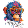 Singe dicton et attitude ambigus
