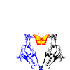 COEUR DE CHEVAUX