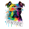 Dog ambiguous saying and attitude