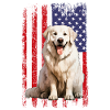 Great Pyrenees dog,