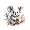Aquarelle de Koala