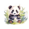 Aquarelle Panda Ours