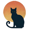 Cat shadow in sunset