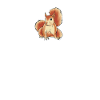 Eichhörnchen Herzschlag