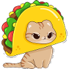 Chat et tacos