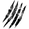 LION CLAW