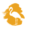 Exotisch Flamingos Flamenco