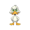 Anatomie einer Ente B