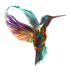 flying chromatic hummingbird