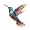 flying chromatic hummingbird