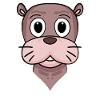 Seelöwe Tierkopf Tier Kopf