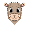 Lama Tierkopf Tier Kopf