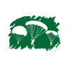 Paratroopers Skydiving Skydiving
