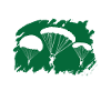 Paratroopers Skydiving Skydiving