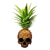 Pineapple Skull Ananas Teschio