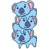 Koala Koalas