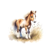 Fohlen Aquarell