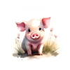 Aquarelle de porcelet