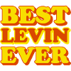Levin Prénom Drôle Cadeau