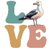 Seagull Seagull Seabird