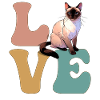 Siamkatze