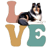 Shetland Sheepdogs Dog Lover