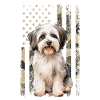 havanese dog, american flag