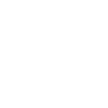 Pasteur Pasteur Prédicateur Prêtre