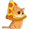 Chat et Pizza