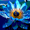 The Blue Lotus