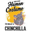 Déguisement Chinchilla Halloween