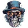 Skull Skull Sunglasses Hat Cool