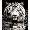 White Tiger