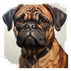 Pug Portrait
