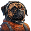 Pug Austronaut